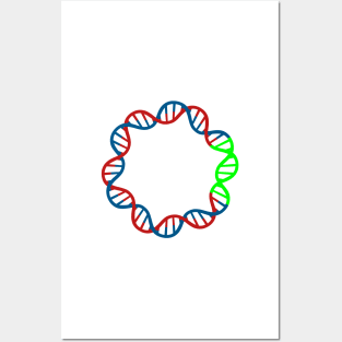 Circular DNA Double Stranded Plasmid Vector GFP Green fluorescent protein Posters and Art